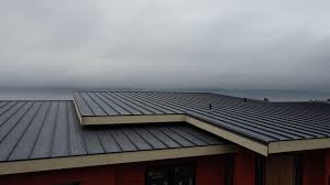 Fast & Reliable Emergency Roof Repairs in Carmel Valley Village, CA